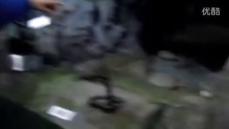 �ι���Ȼ�����3