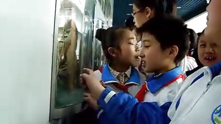 �ι���Ȼ�����1