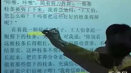 Сѧ����˵�Σ���֦��ѧ��