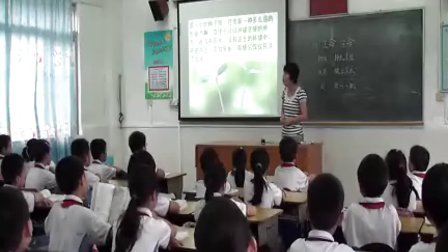 ���꼶�²ᡶ����  ���� ��