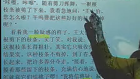 �ս̰�Сѧ����˵�������߹�Ħ�����Ӱװ壩����֦��ѧ�ʡ�����ʵ¼ ��ѧ��Ƶ