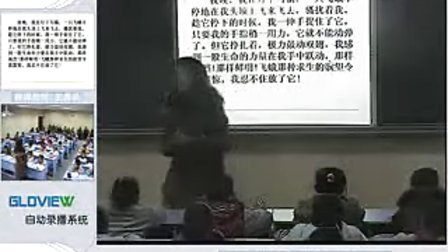 ������_���� ����