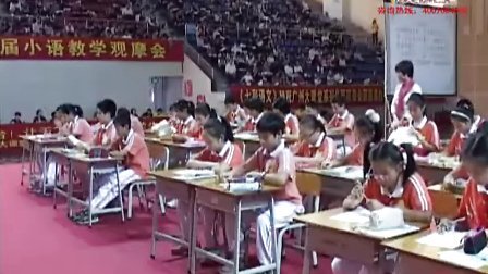 ����P��ʯ������