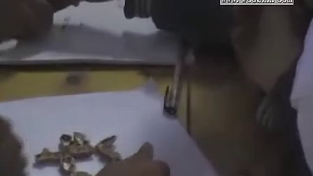 �޷ɡ��������������ѧ��۲졷