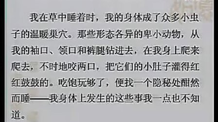 ������ ��湲�� ��