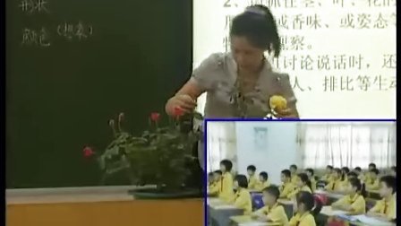 �޶���ʵ��Сѧл��Ӣ��С���ʣ�