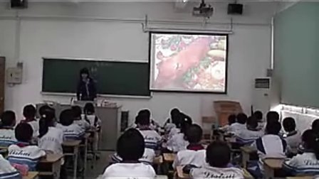 ���������Сѧ���Ĺ���ʾ�����ʿν�ѧʵ¼ר����