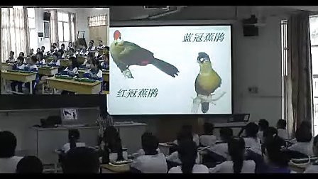 ��Ƥ�Ķž飨Сѧ�������ʿ�ʾ����ѧ��Ħ��Ƶʵ¼ר����