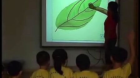 �Ŵ��µ���Ҷ �׶��а������ ��ѧ��Ƶ����������Ӱװ�������Ƚ���