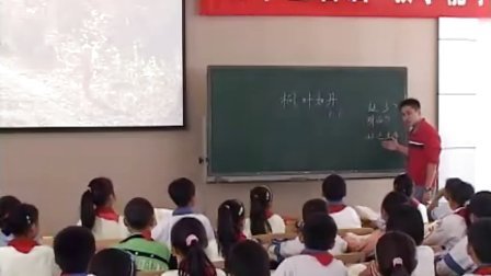 �������꼶��Ҷ�絤��Ƶ1