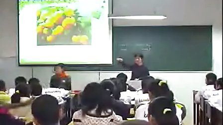 初中英语 HEALTHY FOOD 姜香梅（初中英语七八九年级优质课教学实录视频）