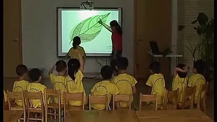 �Ŵ��µ���Ҷ �׶��а������ ��ѧ��Ƶ����������Ӱװ����ʿζ��Ƚ�������ѧ��Ƶ��