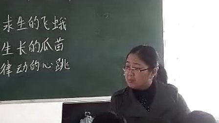 ������  ���������ʿ�