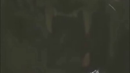 ���ɴ� 96�� ˮ䰴� ����