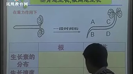 生长素的生理作   张兴娴   - 2011年江苏省高中生物优课评比高二组