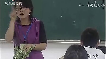 生长素的生理作  陶刚琴   - 2011年江苏省高中生物优课评比高二组
