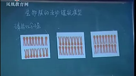 细胞膜流动镶嵌模型  崔雷 - 2011年江苏省高中生物优课评比高一组