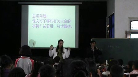 ������ ��������Ө��2013���������ʿν�ѧ�����������ѡ����