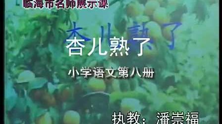 �Ӷ�����_Сѧ�������ʿ���Ƶ