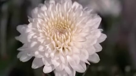 ���۴��㿪ʼѧ����28