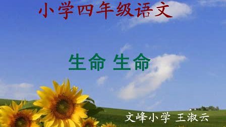 Сѧ���꼶�������ʿ���Ƶ��������������_������