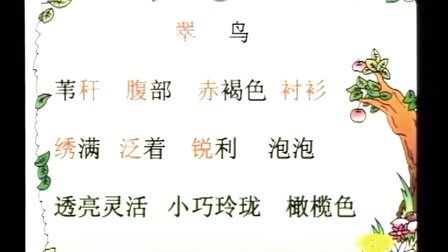 ��������Ƶ��Сѧ���꼶�������ʿ�չʾ�²ᡶ�����˽̰�_����ʦ.