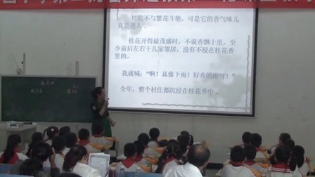 �ӹ�Сѧ�ڶ�����ʦѡ�����������Ӣ