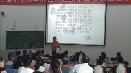 �ӹ�Сѧ�ڶ�����ʦѡ��������������