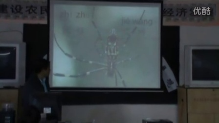 ��ʶ�֣��ģ����˽̰�Сѧ����һ�꼶�²�