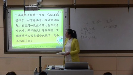 Сѧ�������꼶�ϲᡶ���� ����������ʵ¼