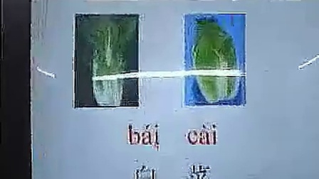 Сѧһ�꼶�������ʿ�չʾ ��԰��