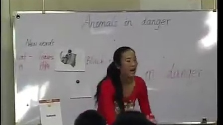 Animals in danger СѧӢʿ