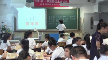 �����������˽���-�����-Сѧ��ѧ������-���볲���⡷����ʯ��ɽ������ʵ��Сѧ