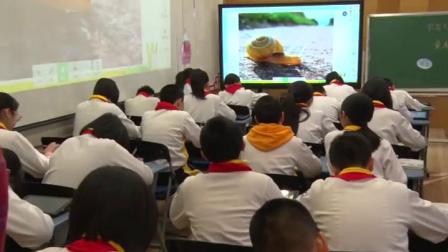 ѧд��ͯʫ�����������ʿν�ѧ��Ƶ-���꼶����