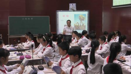 ���꼶�������ޡ���ѧ��Ƶ-�����еھŽ�Сѧ���������ʦ���ʿξ���