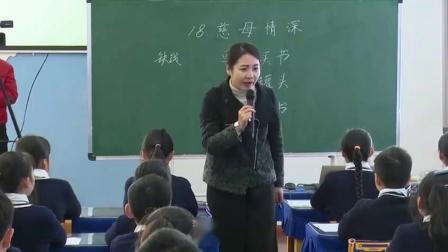 五年级语文《慈母情深》获奖课堂实录-郑梨花