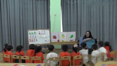 幼儿园《柠檬不是红色的》教学视频-祝老师