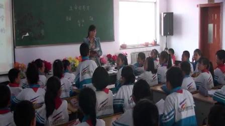 ���꼶���ġ�������ҩ���������ѧ��Ƶ