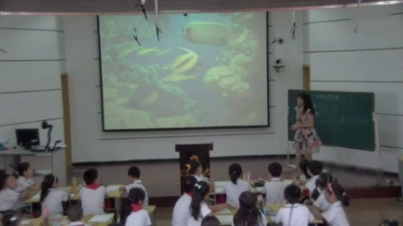 Сѧ����������Ļ����ѡ����ʿν�ѧ��Ƶ-�����������Сѧ���л