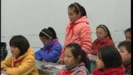 ��ʦ�����꼶���ġ��ɰ����й������ʿν�ѧ��Ƶ