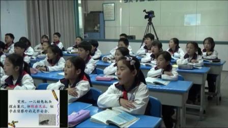 Сѧ���ġ���Ȼ֮������������Ƶ-��Ѩʦ������Сѧ������