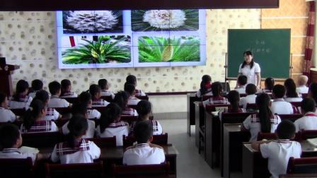 ���꼶���ġ�һ�仰��ʫ�����ʵ¼-��ѧ��ʦ���