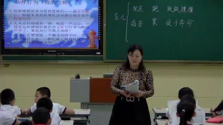 ���꼶���ġ�ʥ�����˵���������ѧ��Ƶ