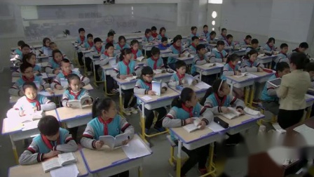 ���꼶���ġ���ѧСƷ�ĵ�����Ȥ����ѧ��Ƶ