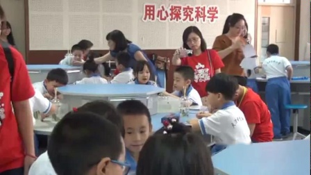 һ�꼶��ѧ���۲�һ�ֶ���������ʵ¼-������Ͽ���������Сѧ