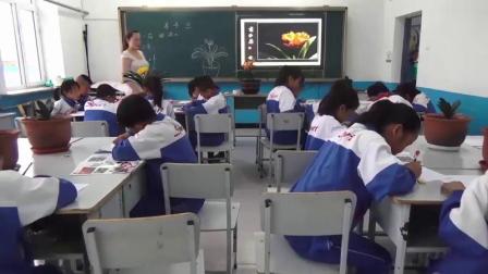 ���������꼶�������������������ѧ��Ƶ