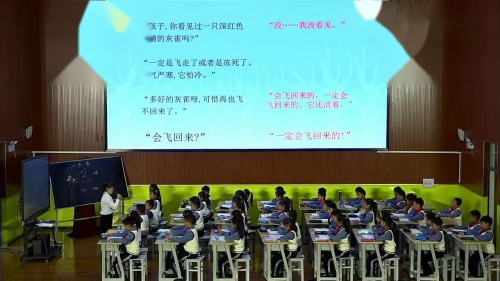 《灰雀》同课异构教学视频-部编版三年级语文上册-教学能手王老师
