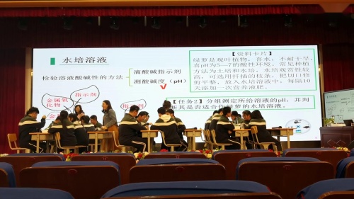 《酸碱盐》总复习课教学视频-人教版九年级化学-郑州市优质课观摩