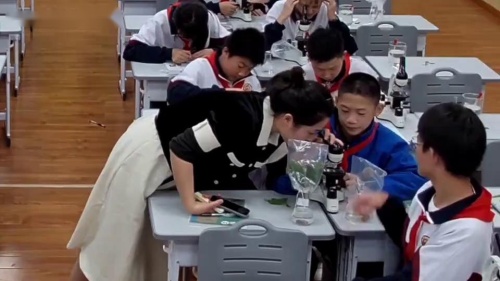 ��ֲ����������á��������ʿν�ѧ��Ƶ-�˽̰����꼶�����ϲ�