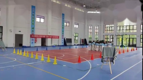 ����չ�ƶ��Լ�������Ϸ�������ν�ѧ��Ƶ-���꼶����